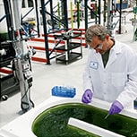 Total acid number test